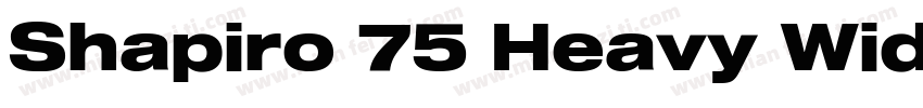 Shapiro 75 Heavy Wide字体转换